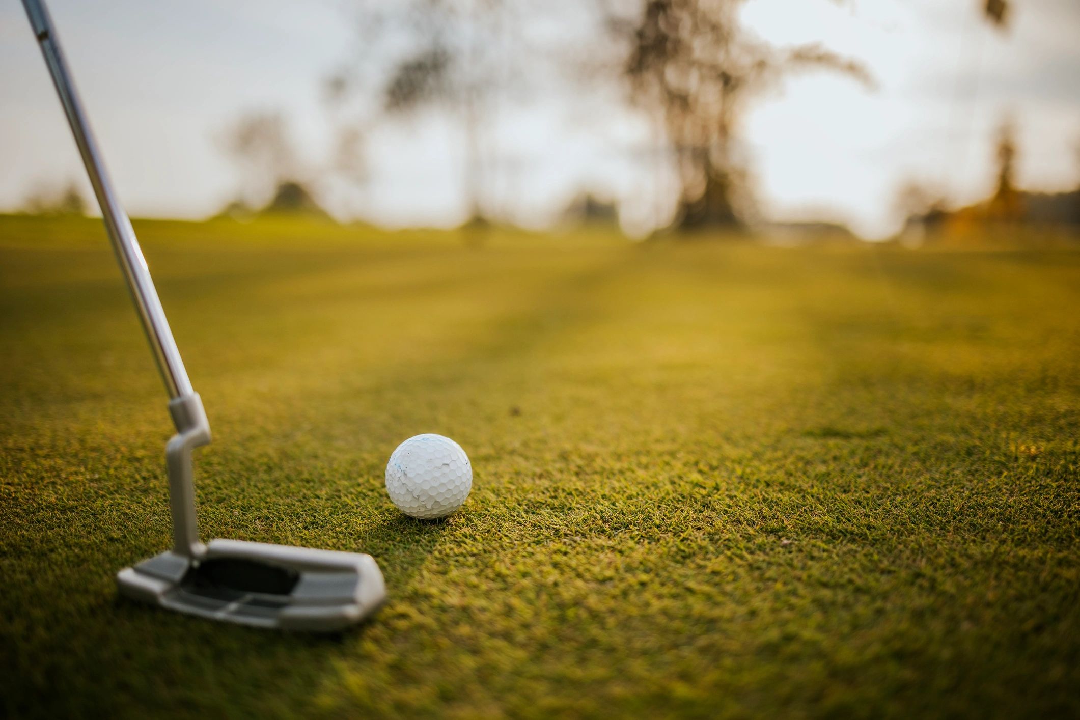 Close-up of golf ball and putter on a green